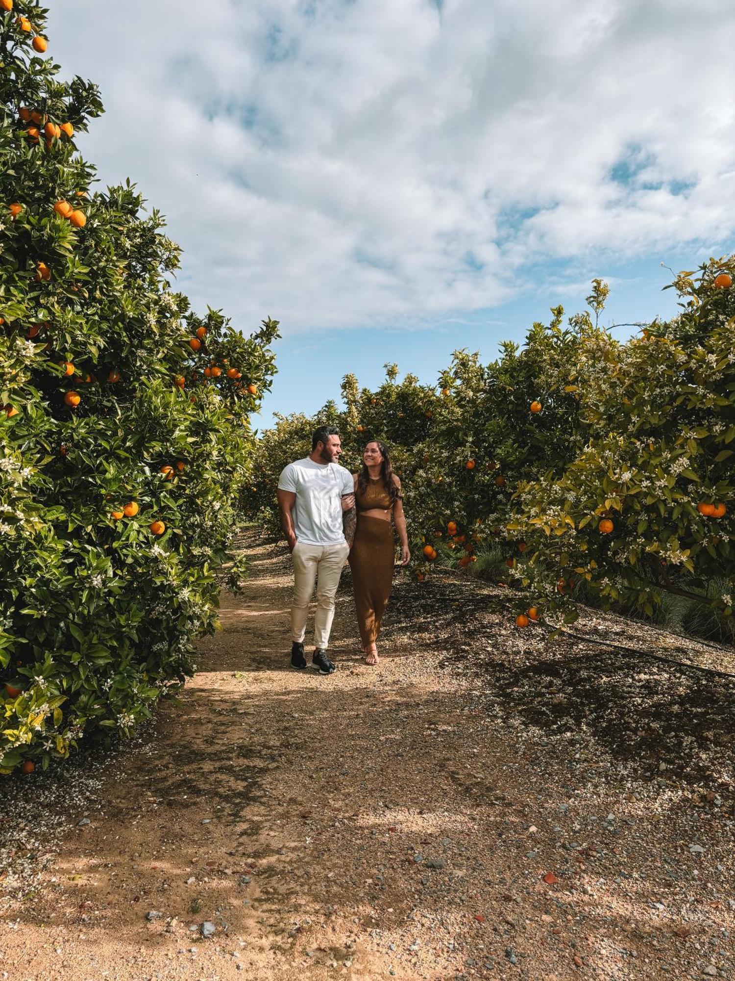 Alloggio per agriturismo Quinta Dos Perfumes Tavira