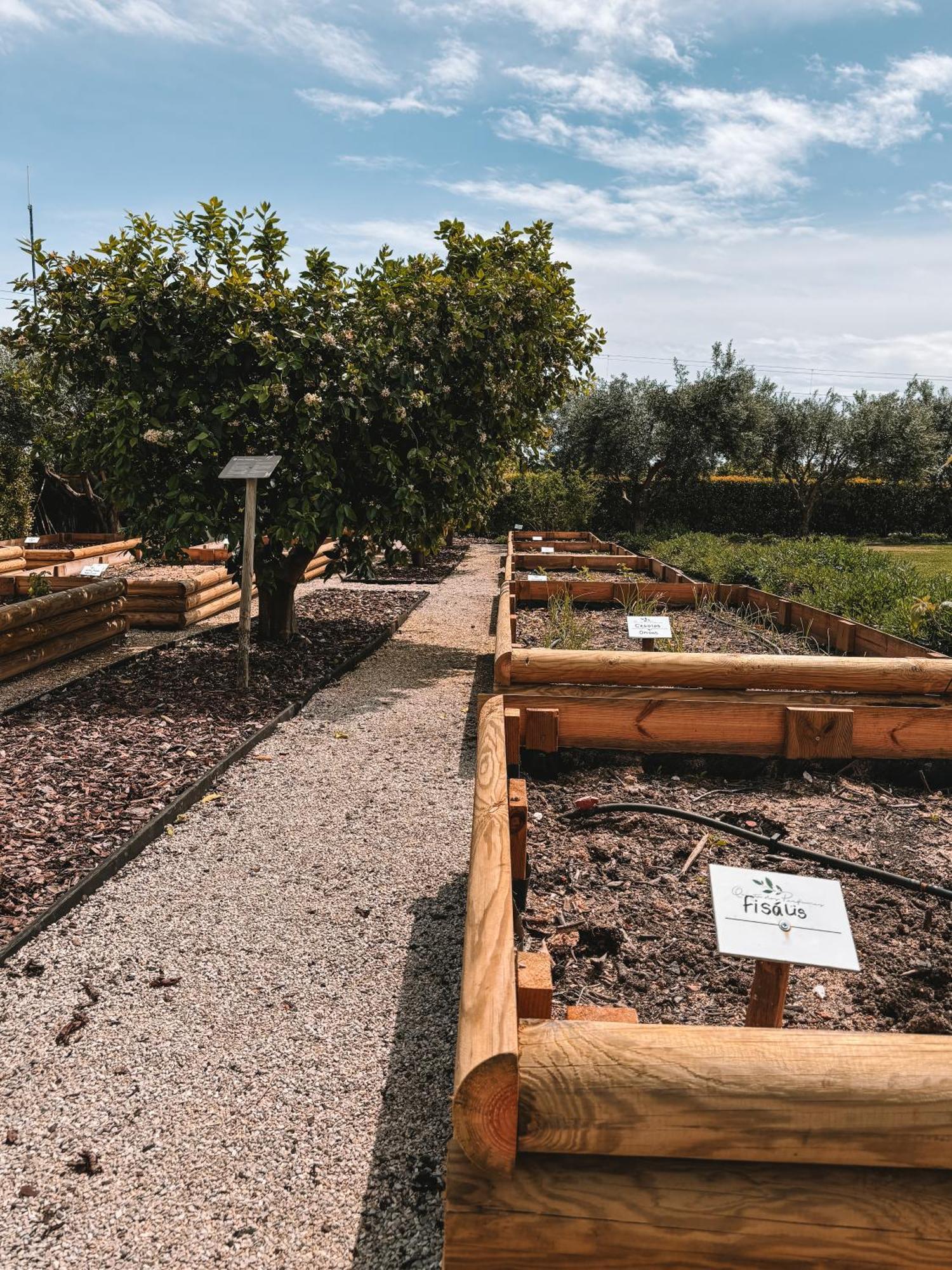 Quinta Dos Perfumes Farm stay