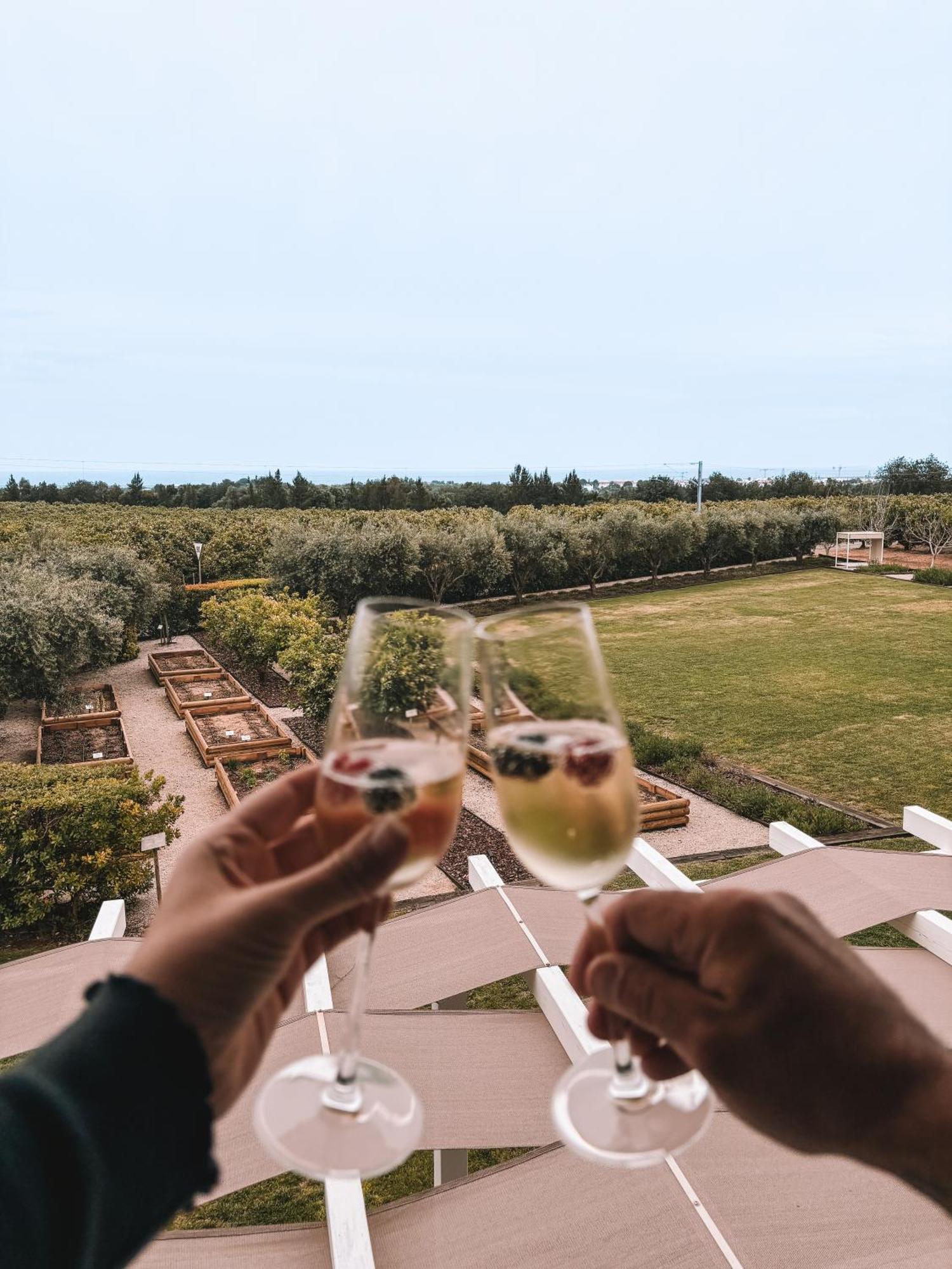 Quinta Dos Perfumes Farm stay