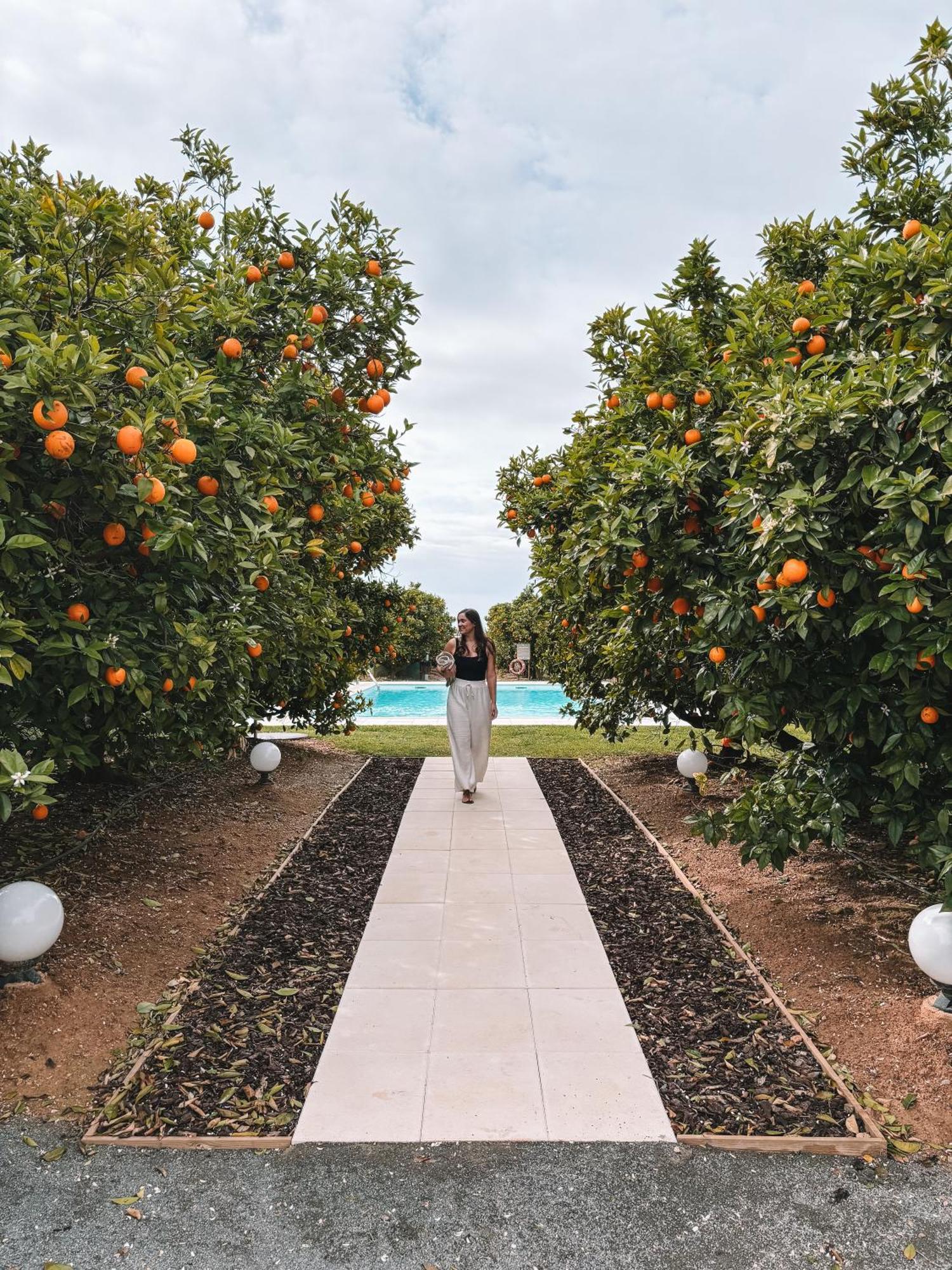 Quinta Dos Perfumes Vakantieboerderij Tavira