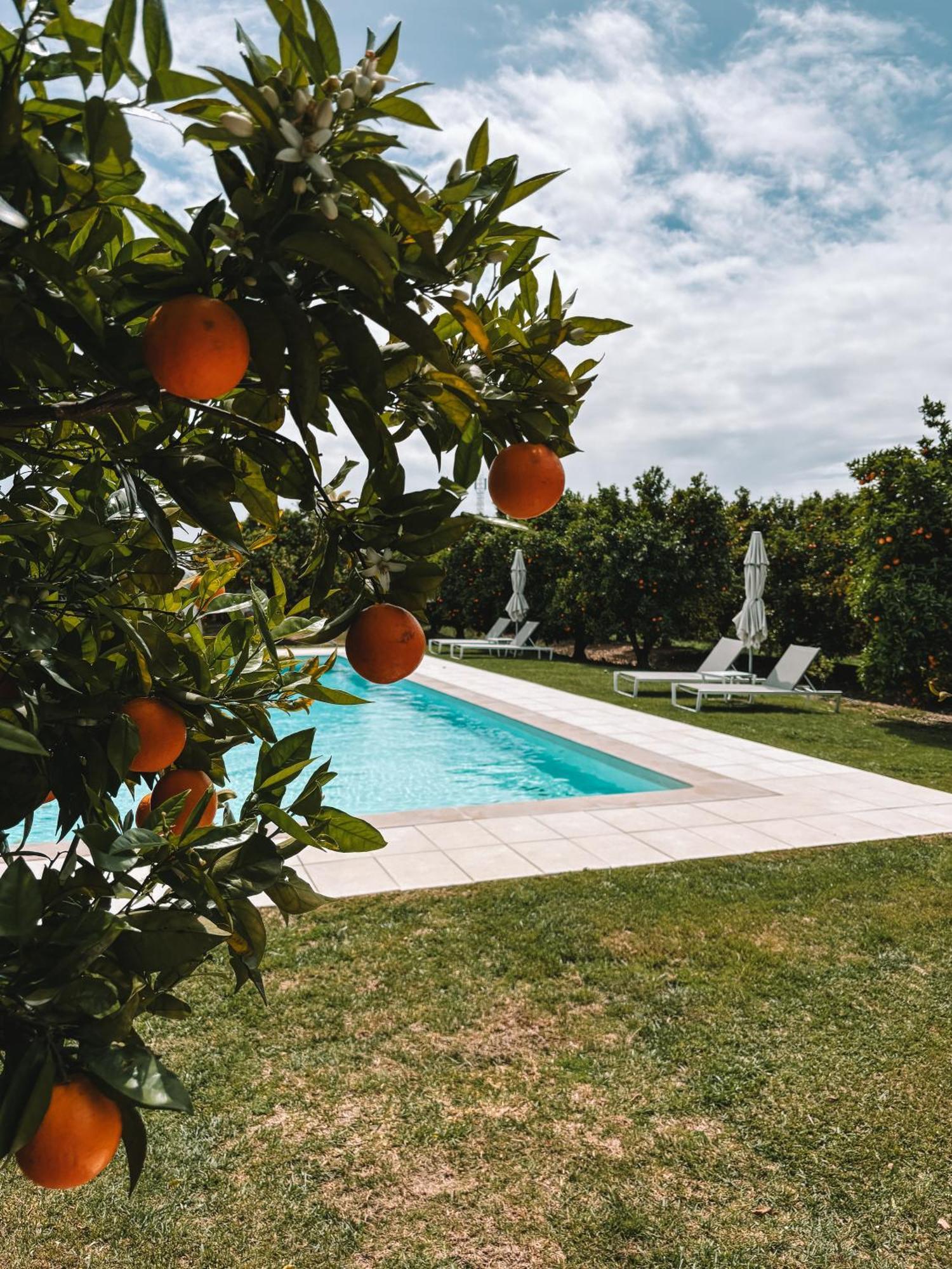 Farm stay Quinta Dos Perfumes Tavira
